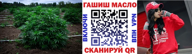 Дистиллят ТГК THC oil  нарко площадка формула  Карачаевск  закладка 